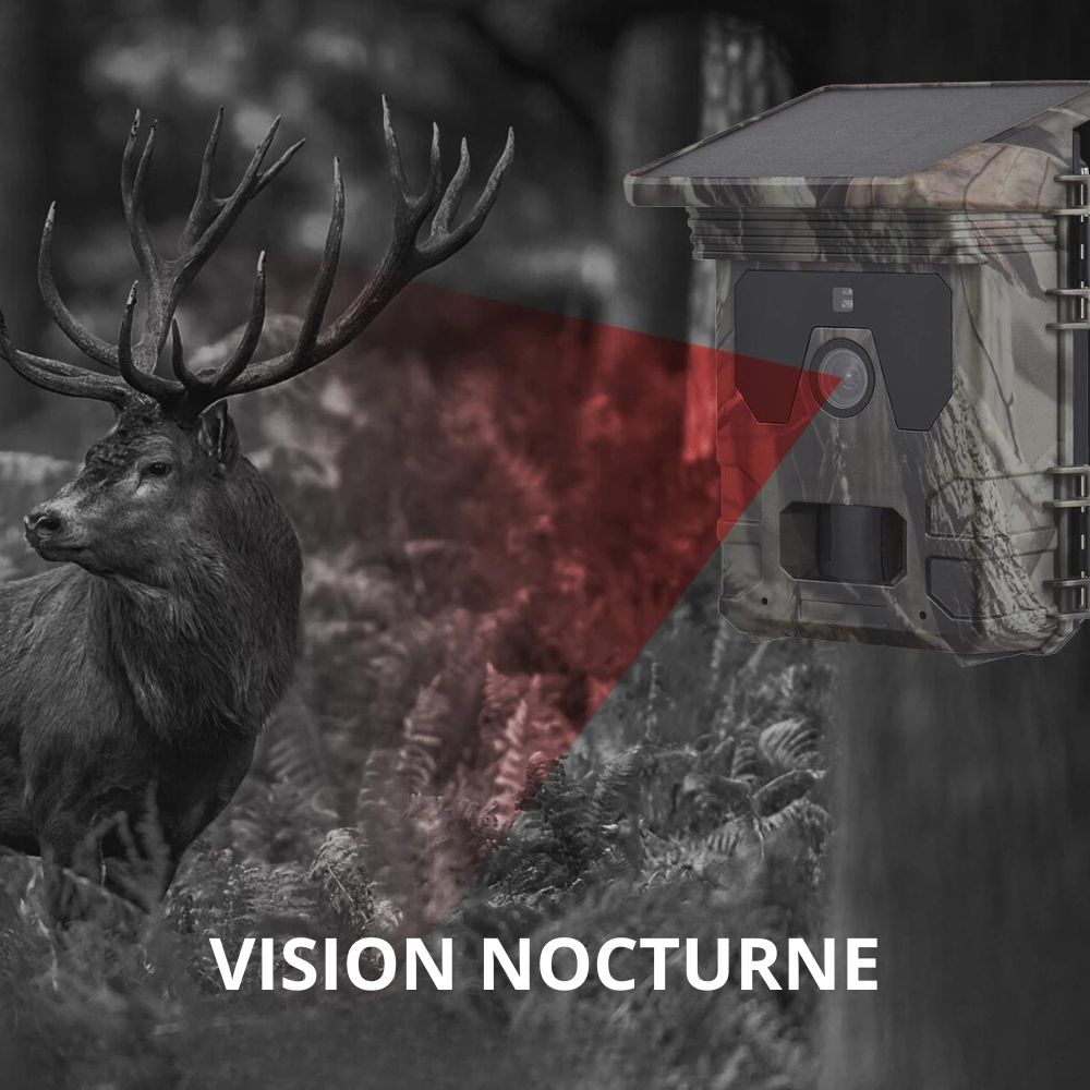 Caméra de chasse solaire avec écran - Moment chasse® - Moment chasse