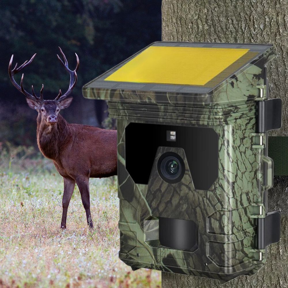 Caméra de chasse solaire avec écran - Moment chasse® - Moment chasse