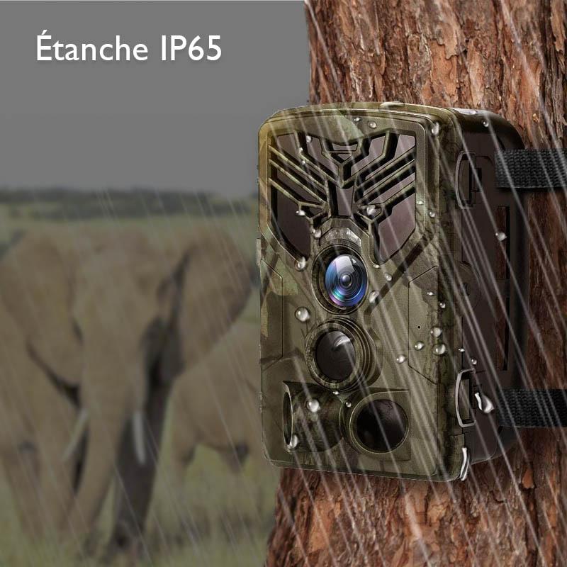 Piège photographique - TR-80K Connecté - Moment chasse® - Moment chasse